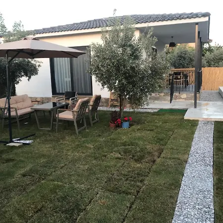 Villa_olive